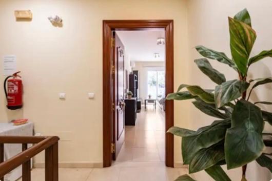 Apartamento En Primera Linea De Playa El Palo Μάλαγα Εξωτερικό φωτογραφία